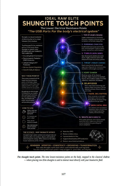 The Shungite Medium — (Digital Download - PDF)