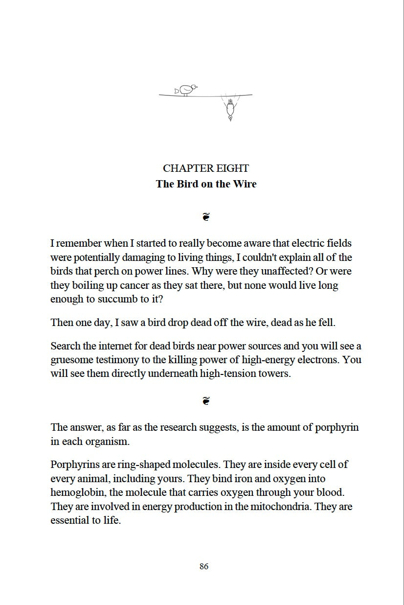 The Shungite Medium — Collector's Edition Color Hardcover